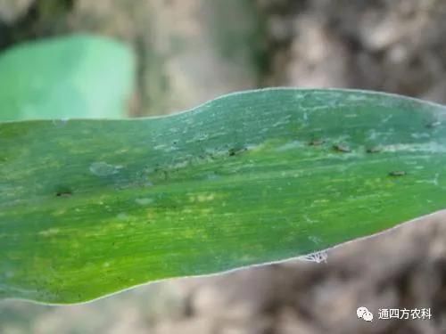 הQôkץoQ(hu)Ӱ푮a(chn)!!!