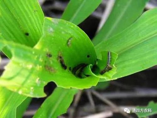 הQôkץoQ(hu)Ӱ푮a(chn)!!!